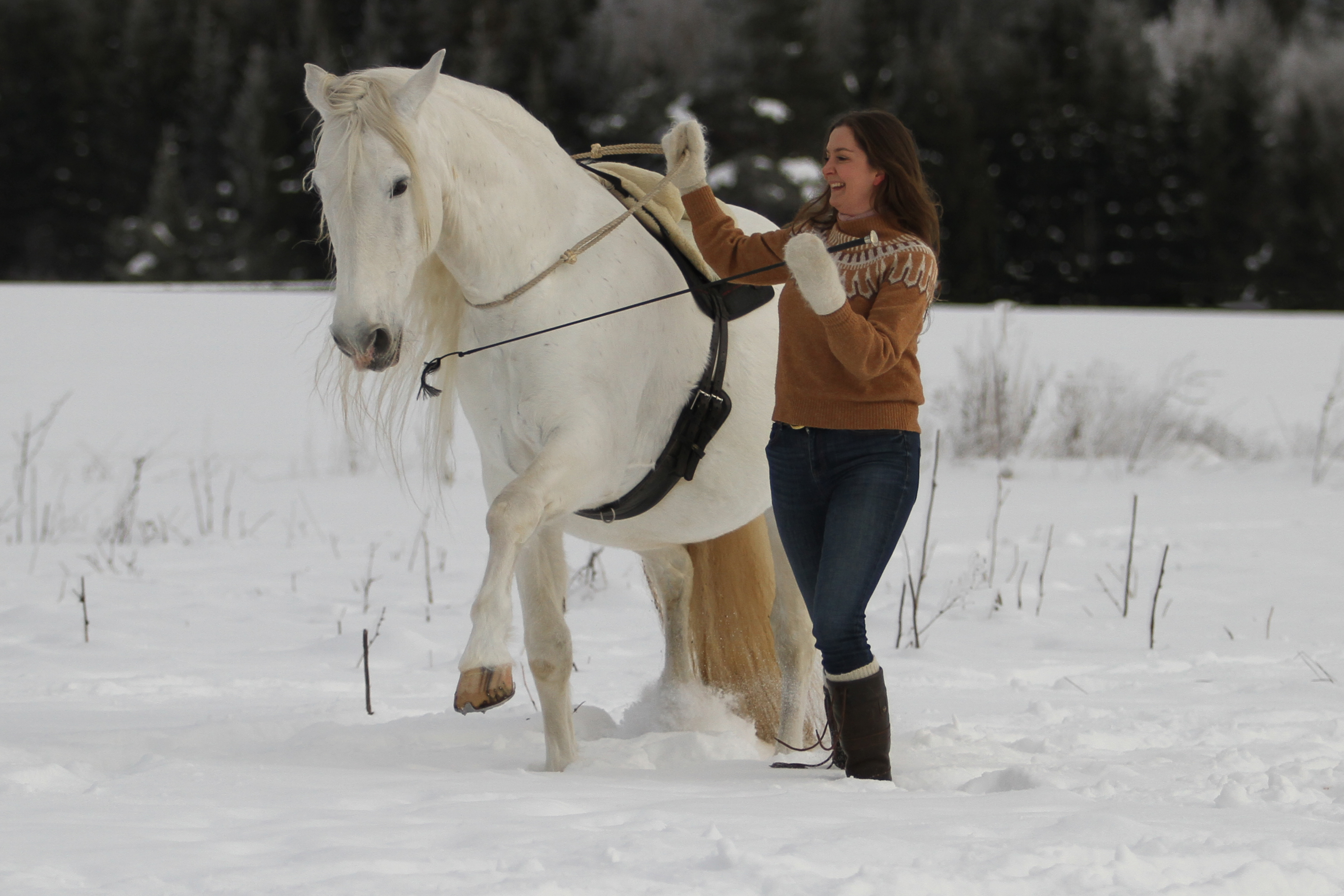 Linda Tellington-Jones hals ring - 4
