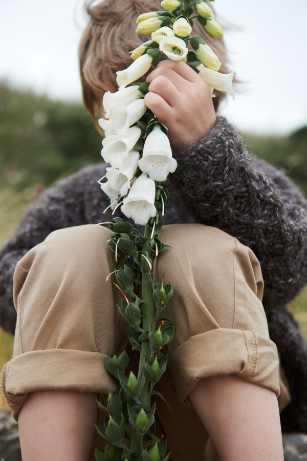 Mole - 3
