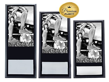 Treplakett Premium  Fotball