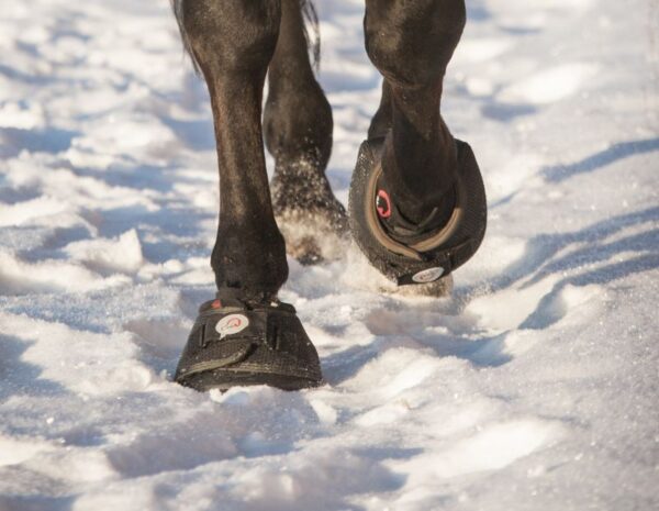 Cavallo pair pastern wraps 2-pack - 14 dagars öppet köp - 3