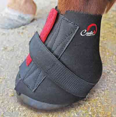 Cavallo pair pastern wraps 2-pack - 14 dagars öppet köp