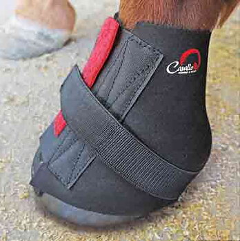 Cavallo pair pastern wraps 2-pack - 14 dagars öppet köp