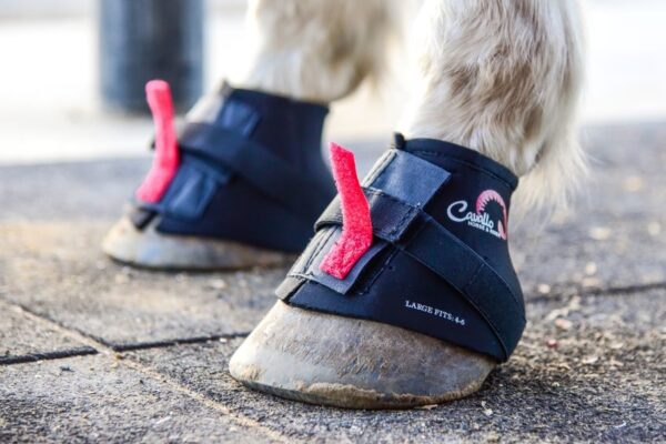 Cavallo pair pastern wraps 2-pack - 14 dagars öppet köp - 2