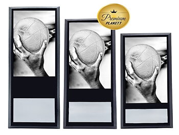 Treplakett Premium  Håndball