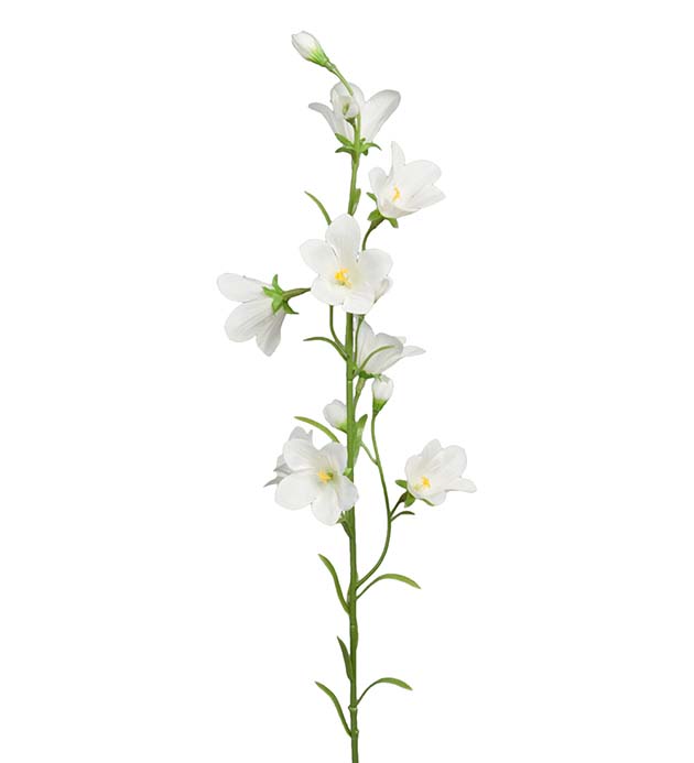 Blåklocka, vit 65 cm