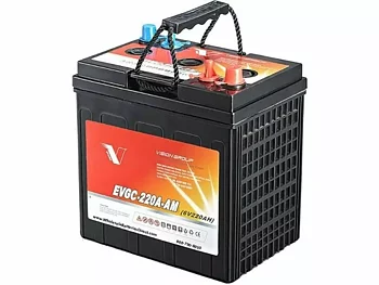 Vision EVGC-220A-AM 6V 220AH/20HR 260x180x274 + -