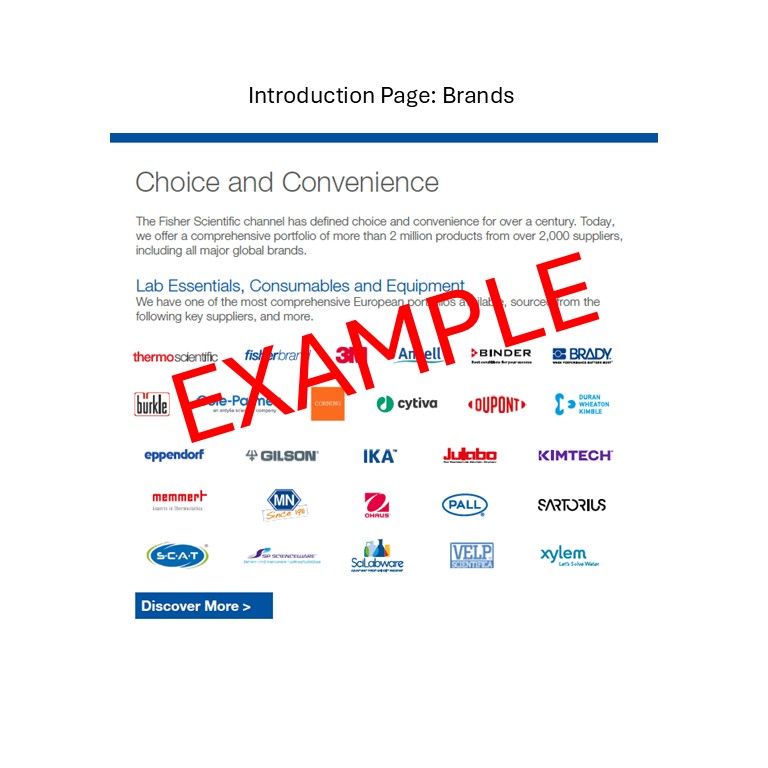 Flyer - Product (Table style) - 2