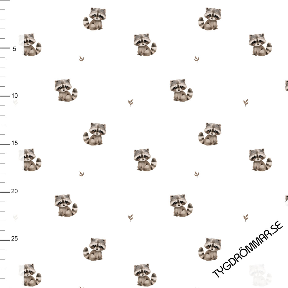 MINI RACOONS -  RIBBED