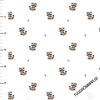 MINI RACOONS -  RIBBED
