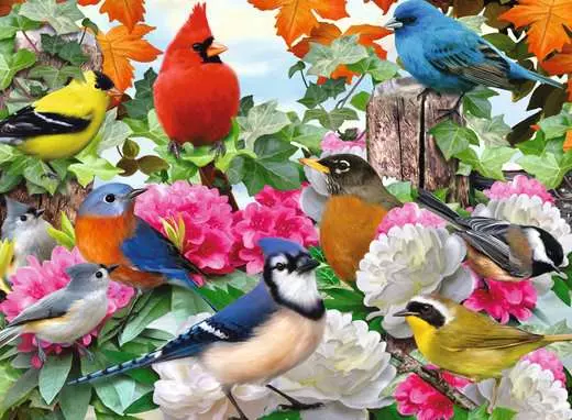 Garden Birds, 500 Bitar Ravensburger
