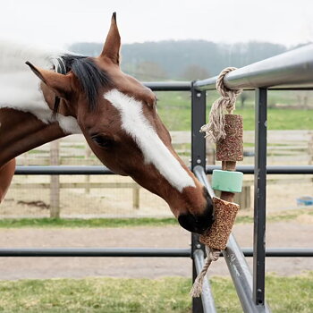 KENTUCKY WOODEN RELAX HORSE TOY WITH SALT LICK AIRWAYS