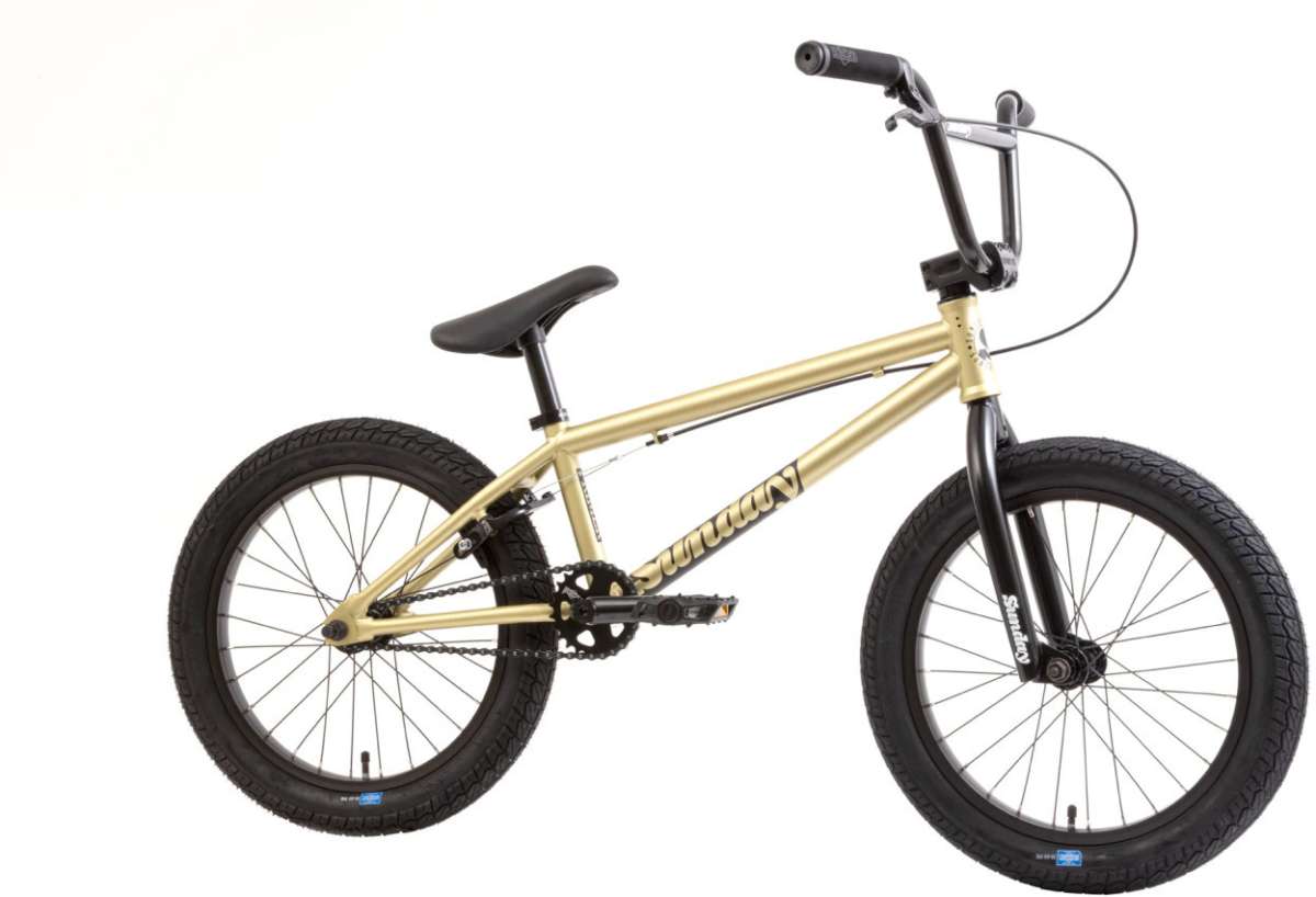Sunday Primer 18"