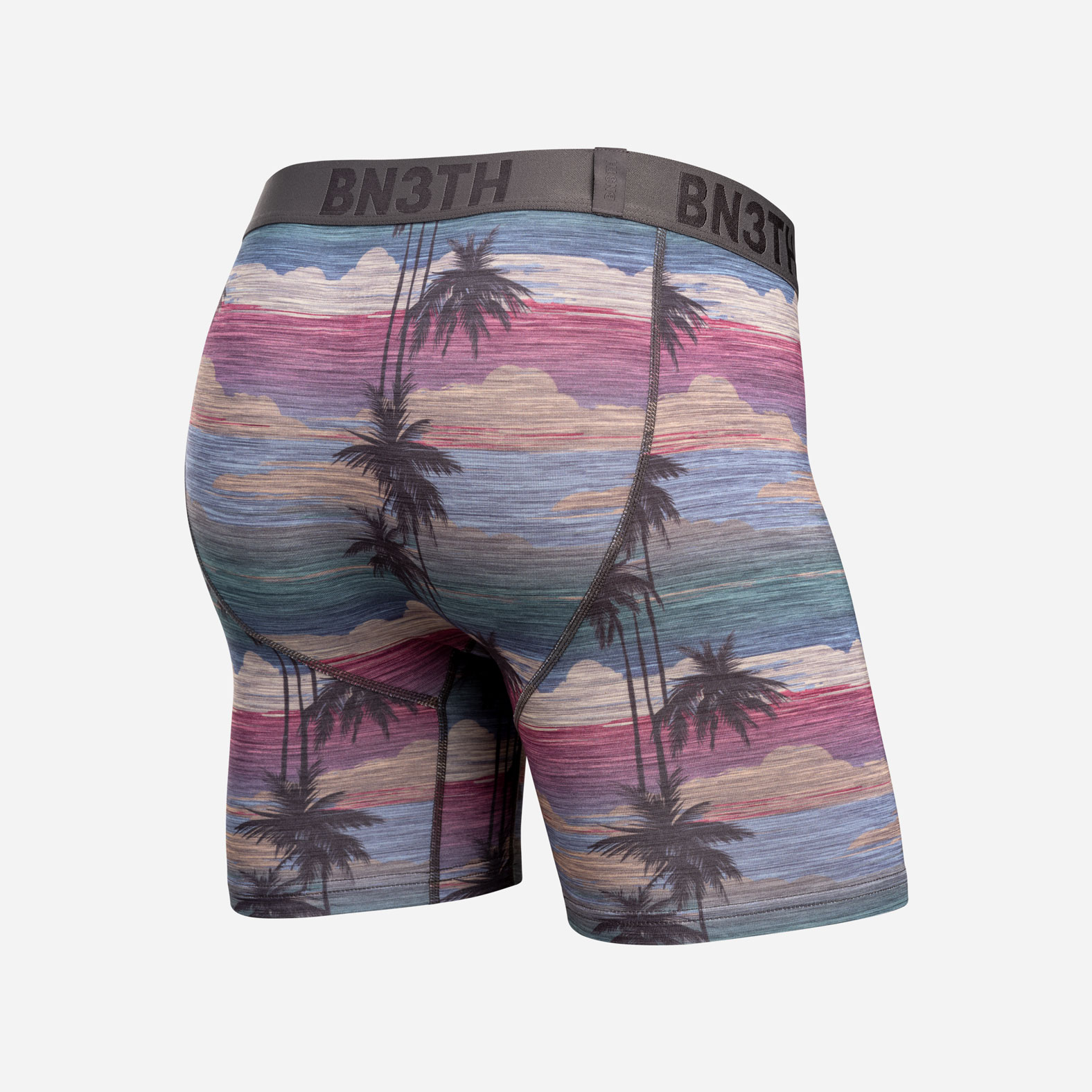 CLASSIC ICON BOXER BRIEF FLY -  PALM TREE HORIZON-HEATHER - 2