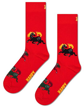 Happy Socks Lunar New Year Sukka