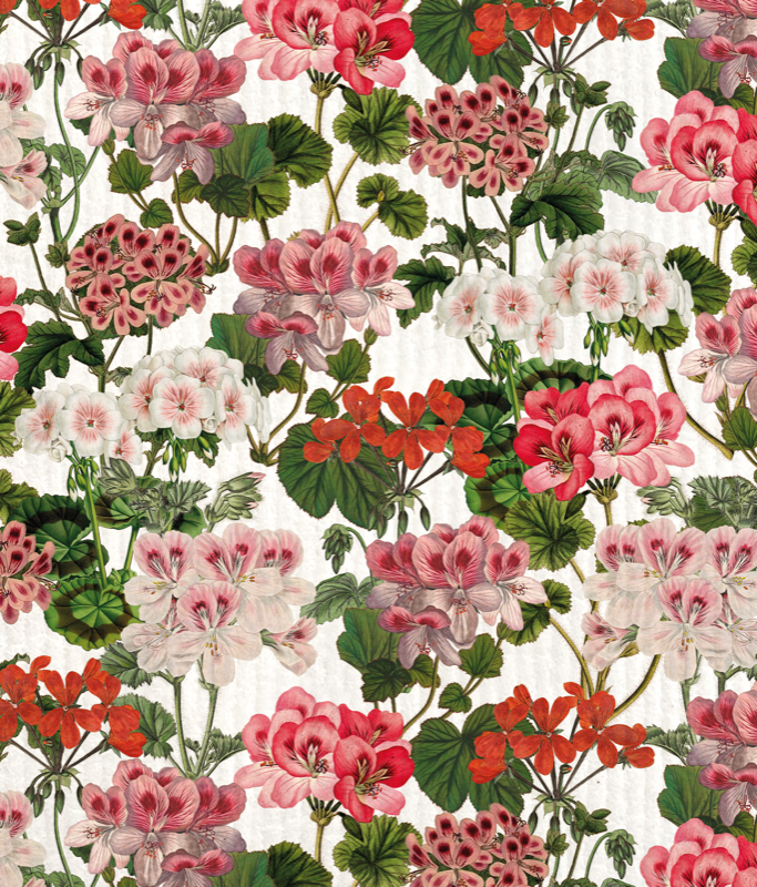 Disktrasa Pelargoner