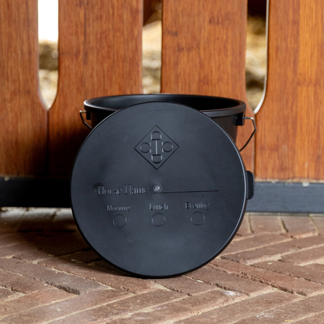 KENTUCKY BUCKET WITH LID - 3