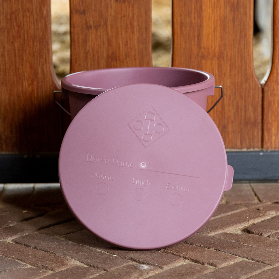 KENTUCKY BUCKET WITH LID - 2