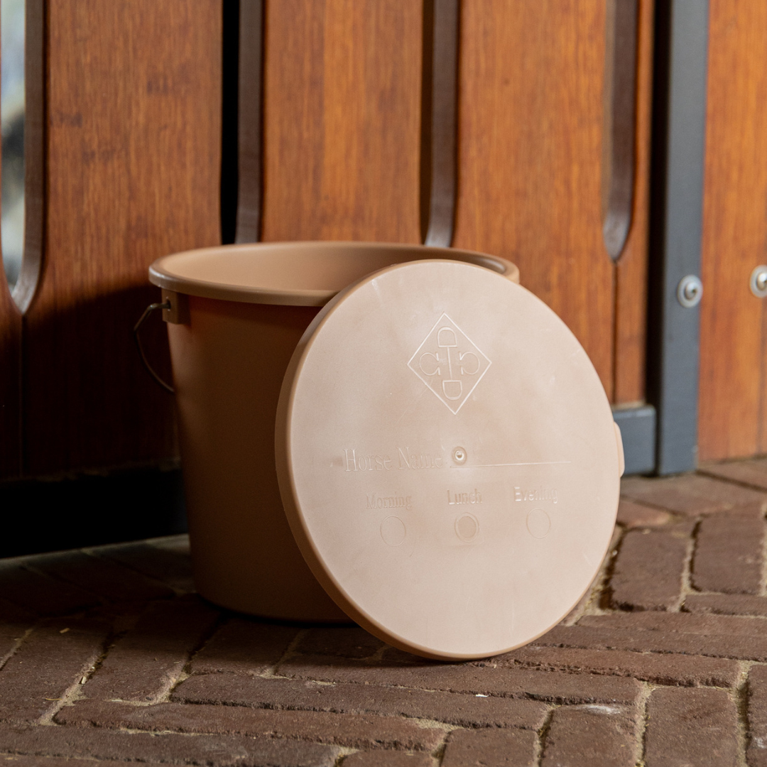 KENTUCKY BUCKET WITH LID - 5