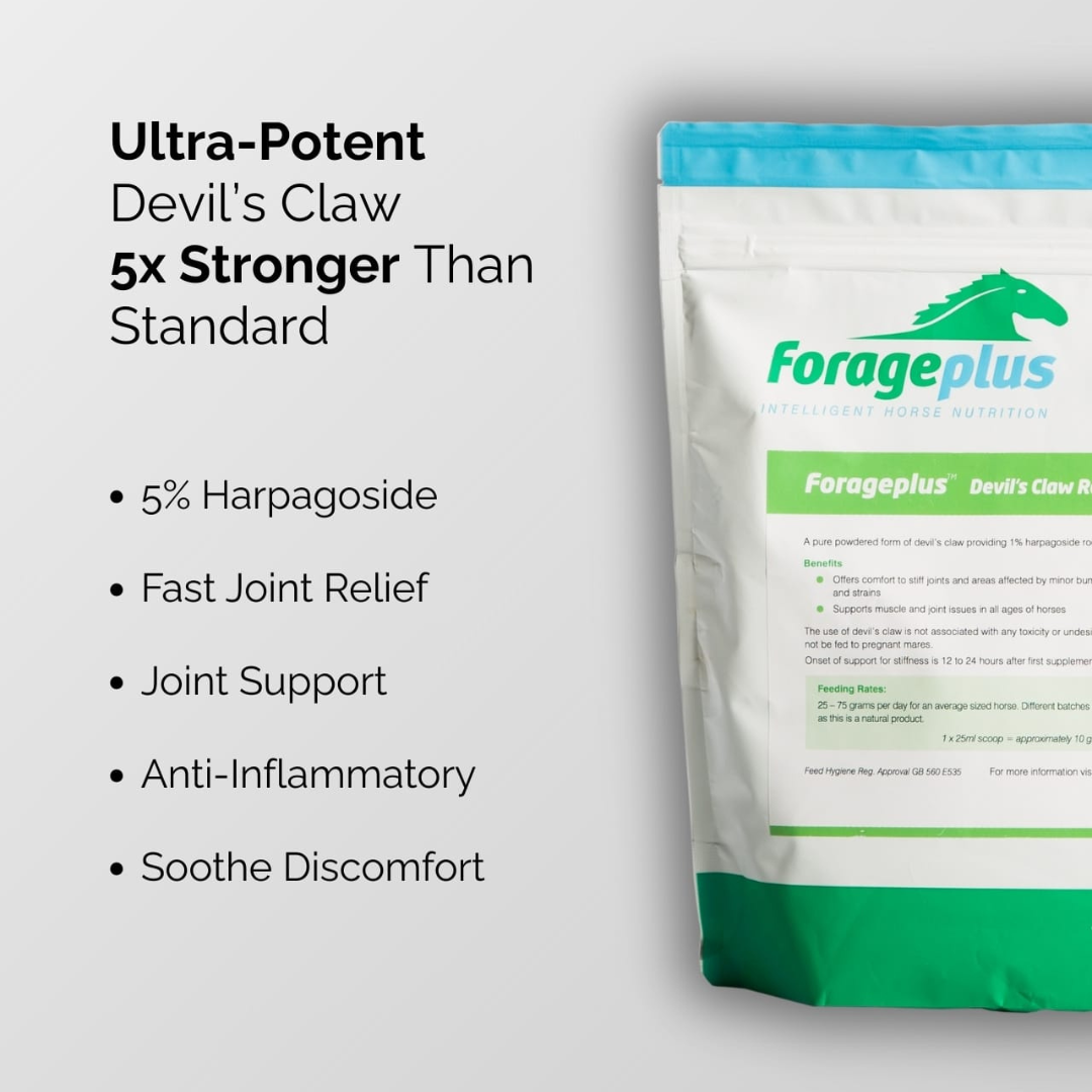 FORAGEPLUS DEVILS CLAW ROOT POWDER - 4