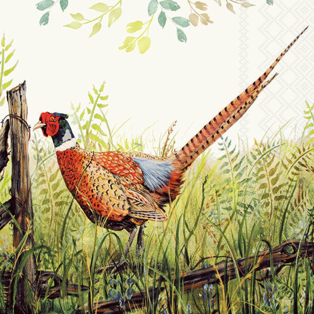 Lunchservett - Glorious pheasant