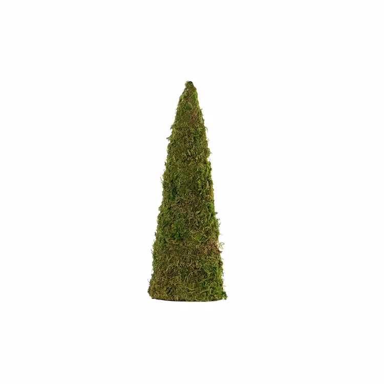 Mosskon 30cm
