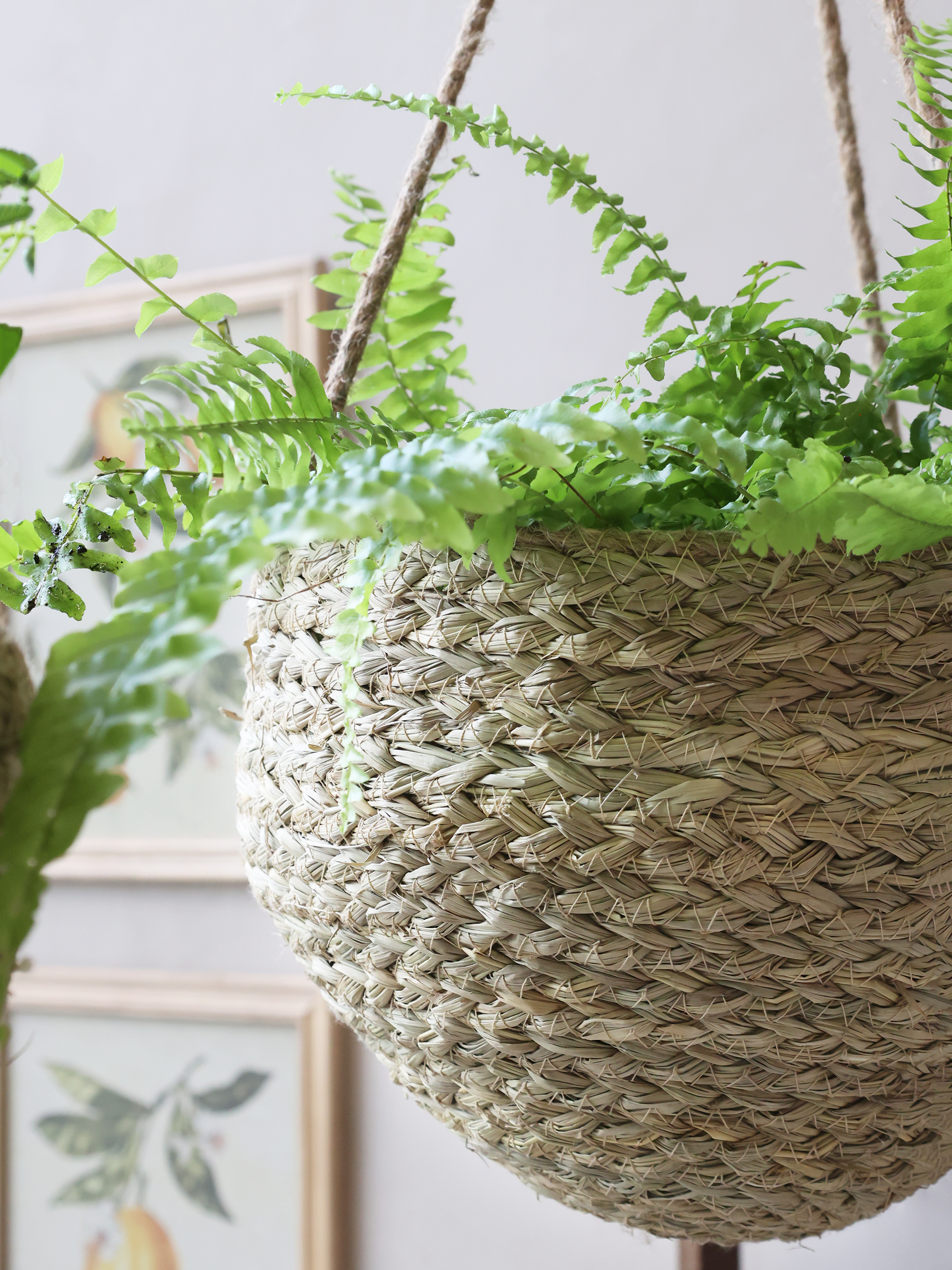 Hanging basket with basket - H20/Ø30 cm - 3
