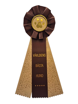 Världens bästa hund - BRUN, guldband med guldglitter