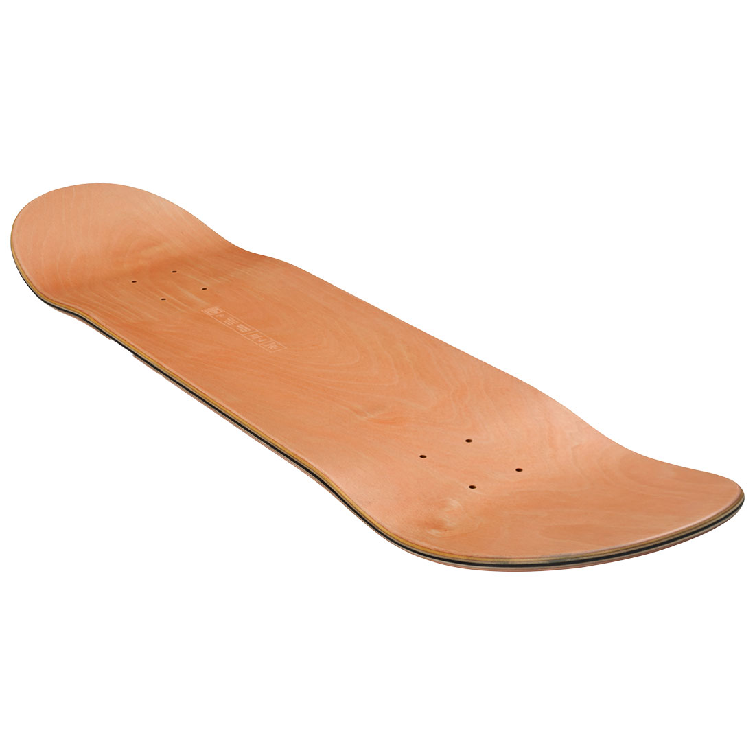 Globe Skateboard - G1 Visitation Terra Bay 8.25 - 2