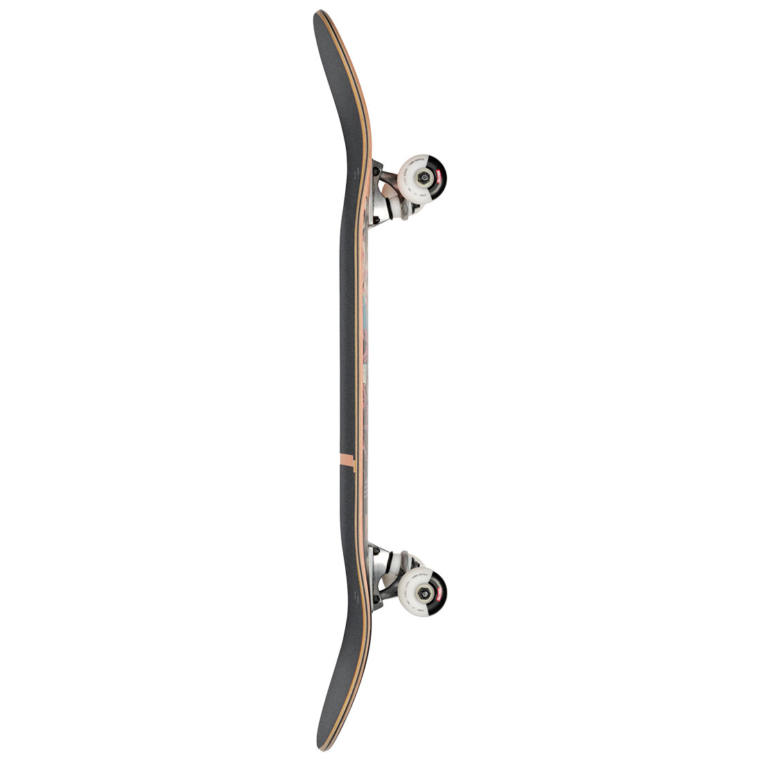 Globe Complete Skateboard - G1 Visitation Terra Bay 8.25 - 3