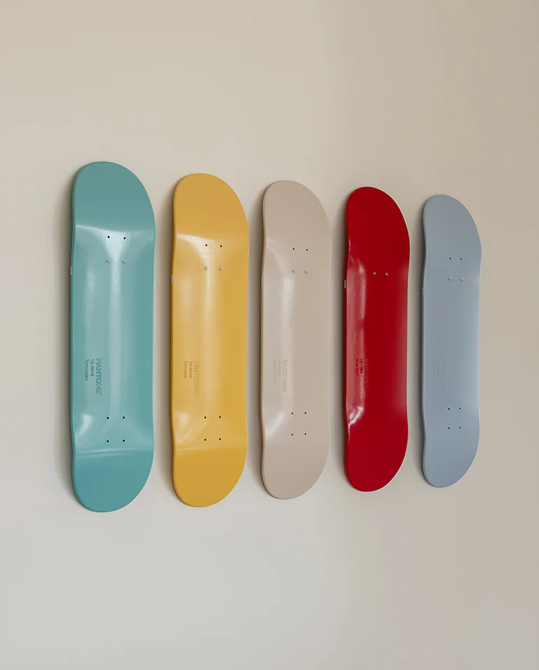 Globe Skateboard Deck Wall Hanger White - 5
