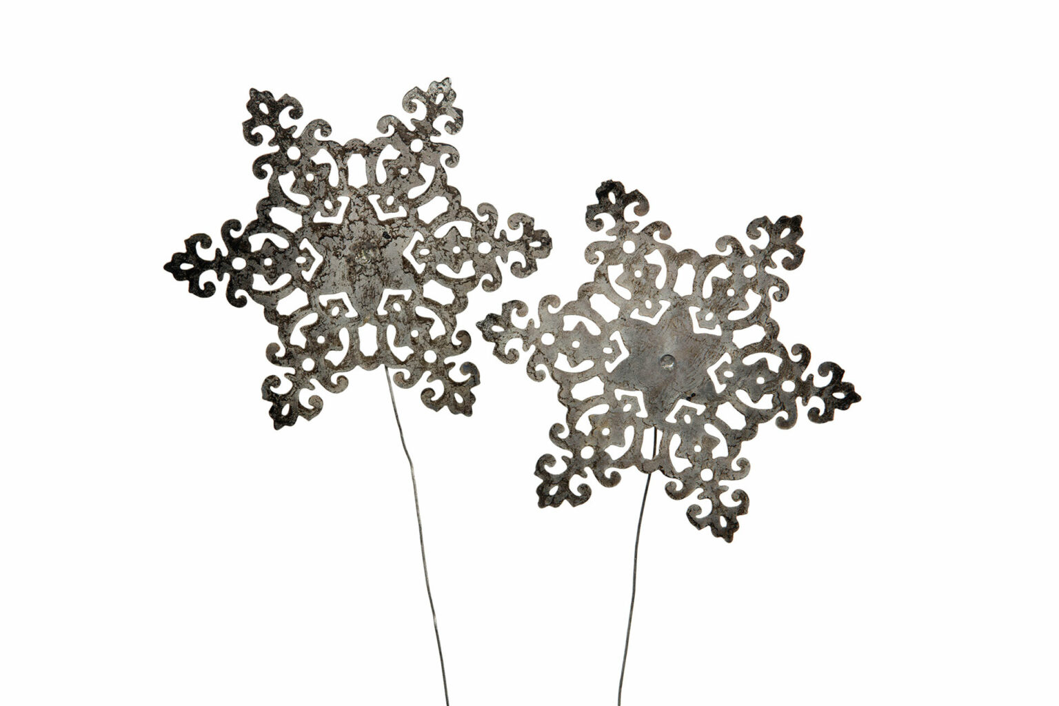 Snöstjärna stick