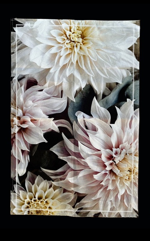 Kökshandduk - Dahlior - 50x70 cm - 3