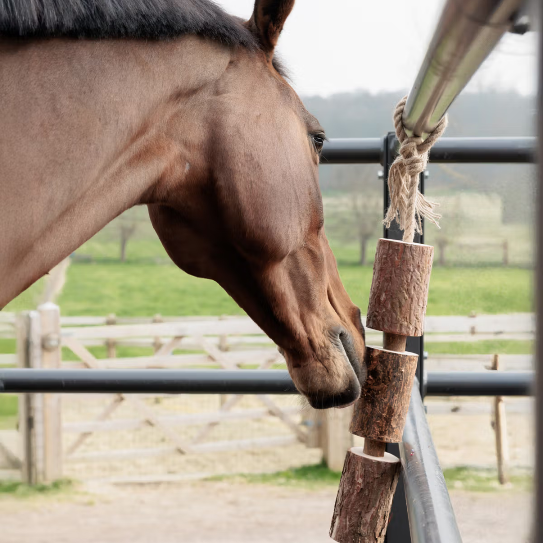 KENTUCKY WOODEN RELAX HORSE TOY NATURE - 3