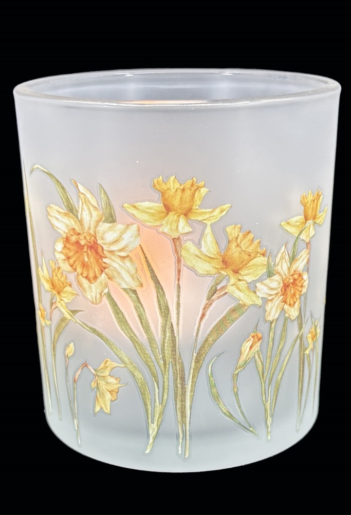 Lantern - Vase - Daffodils - Medium - 3