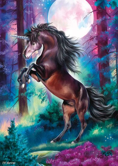 Unicorn in Full Moon, 1000 Bitar Schmidt