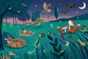 Forest and Meadow Animals, 3 x 24 Bitar Schmidt