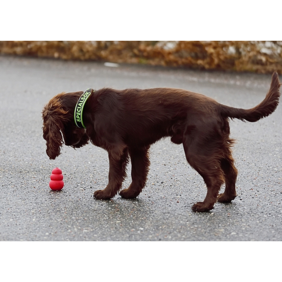 Specialsök - Preparatsök Del 1