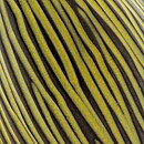 Ingrid Atterberg (Tricorn 1967) Modern Triangular Vase 11 cm