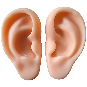 Öronmodell, vänster och  höger i silikon