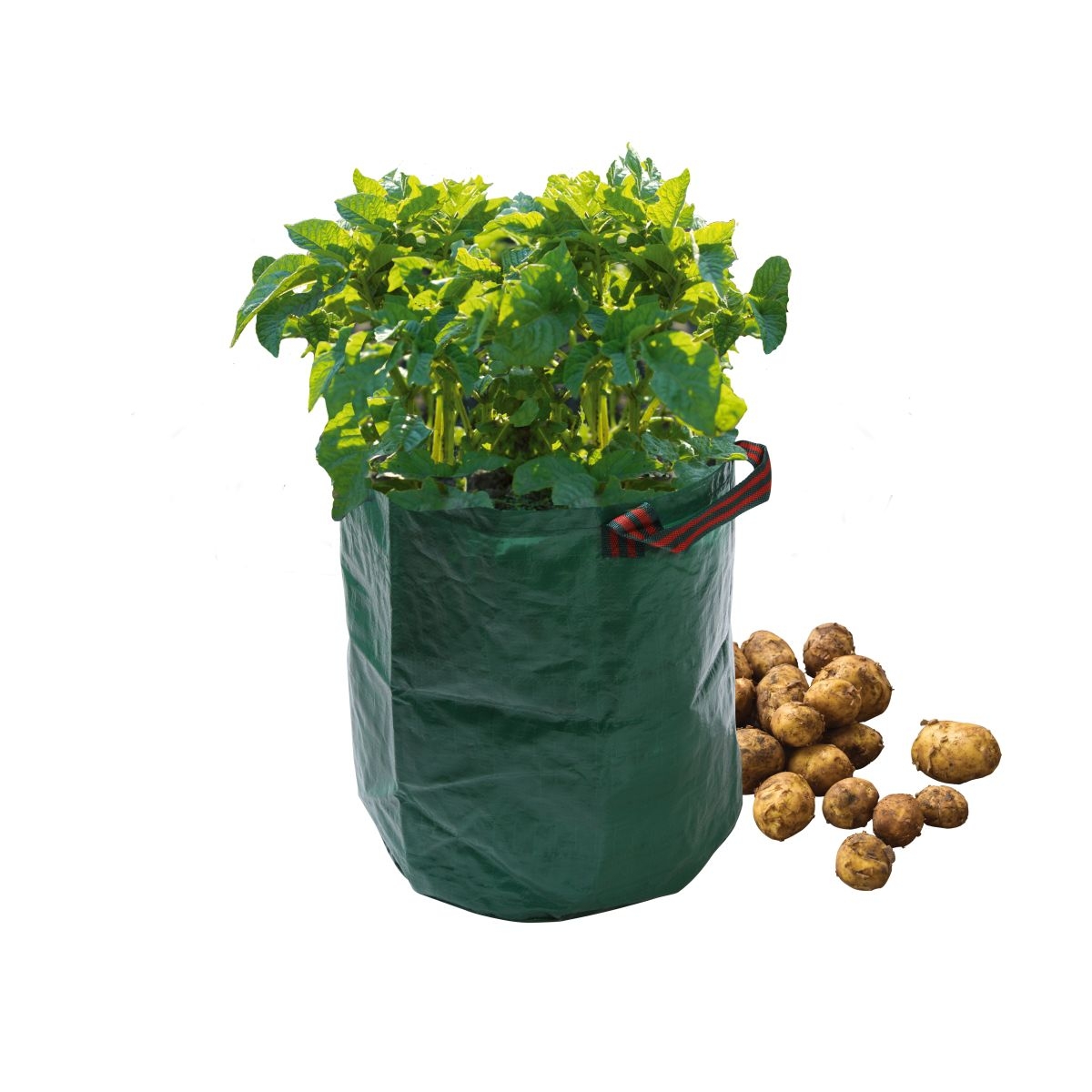 Odlingssäck potatis - Garland