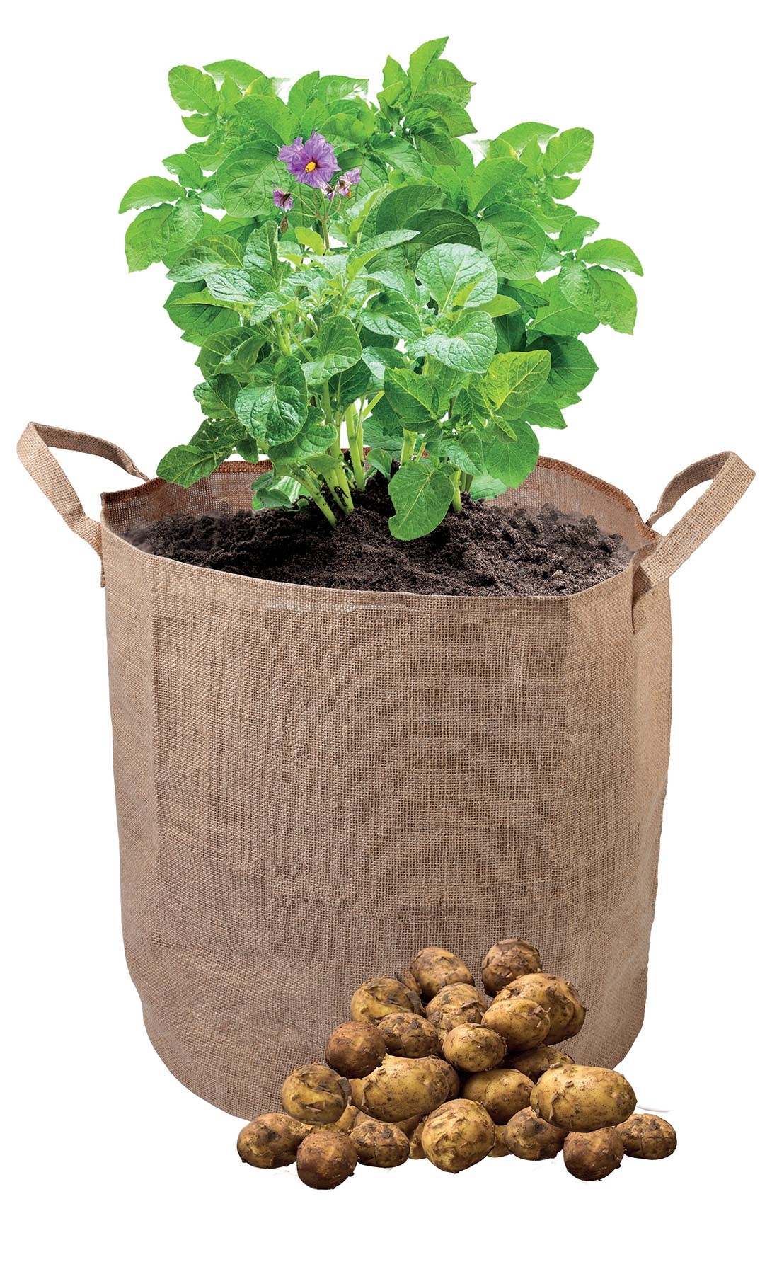 Odlingssäck potatis - Jute - Garland