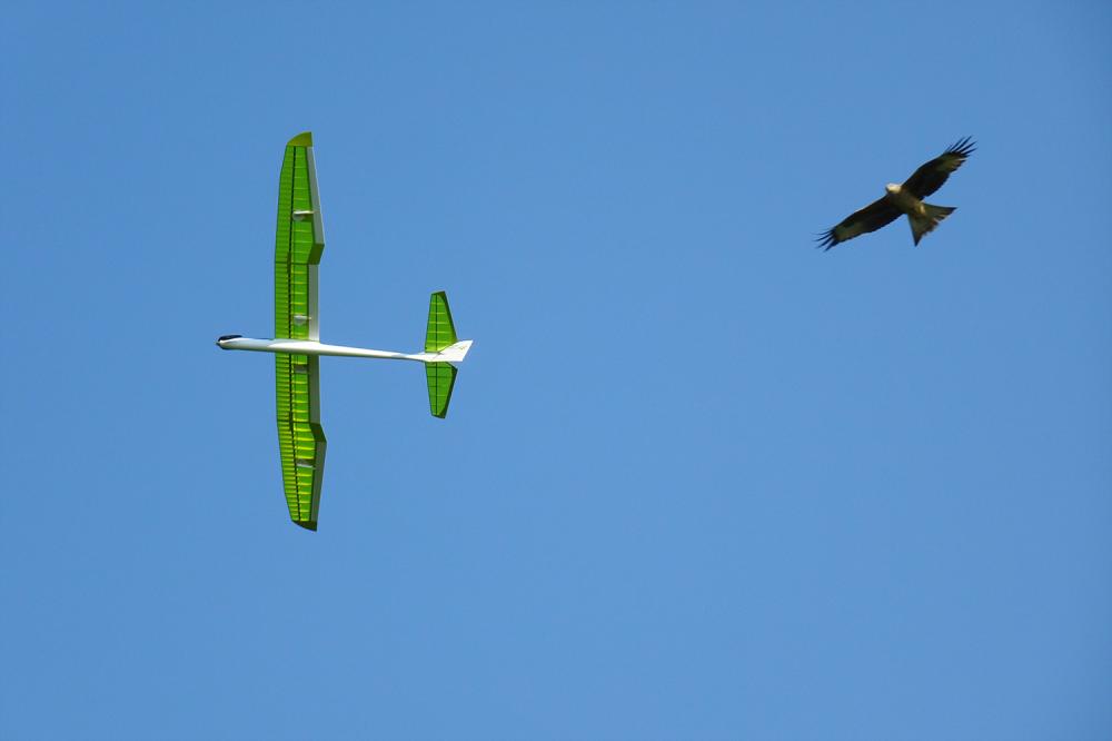 Top Model Albatros 2,4 - 40
