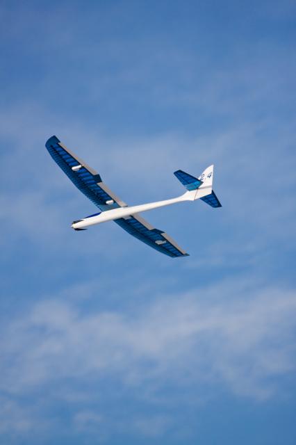Top Model Albatros 2,4 - 37