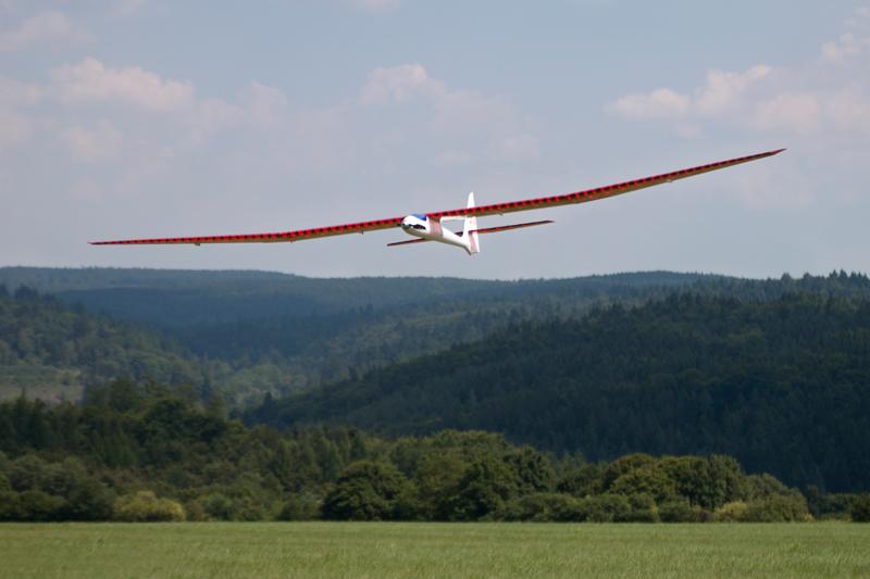 Top Model Albatross 3.0 - 24