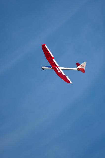 Top Model Albatross 3.0 - 21