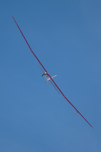 Top Model Albatross 3.0 - 28
