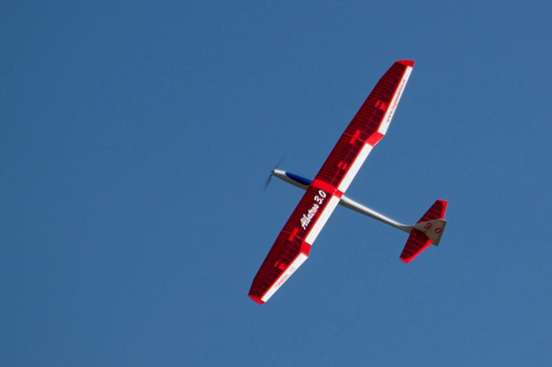 Top Model Albatross 3.0 - 16