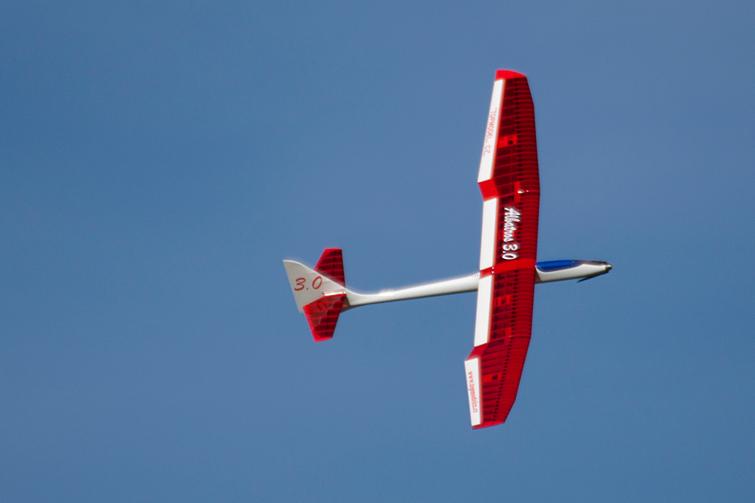 Top Model Albatross 3.0 - 17