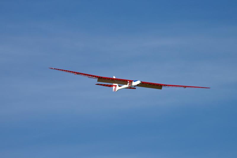 Top Model Albatross 3.0 - 29