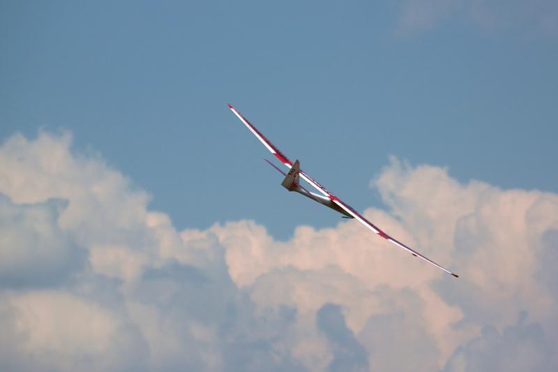 Top Model Albatross 3.0 - 26